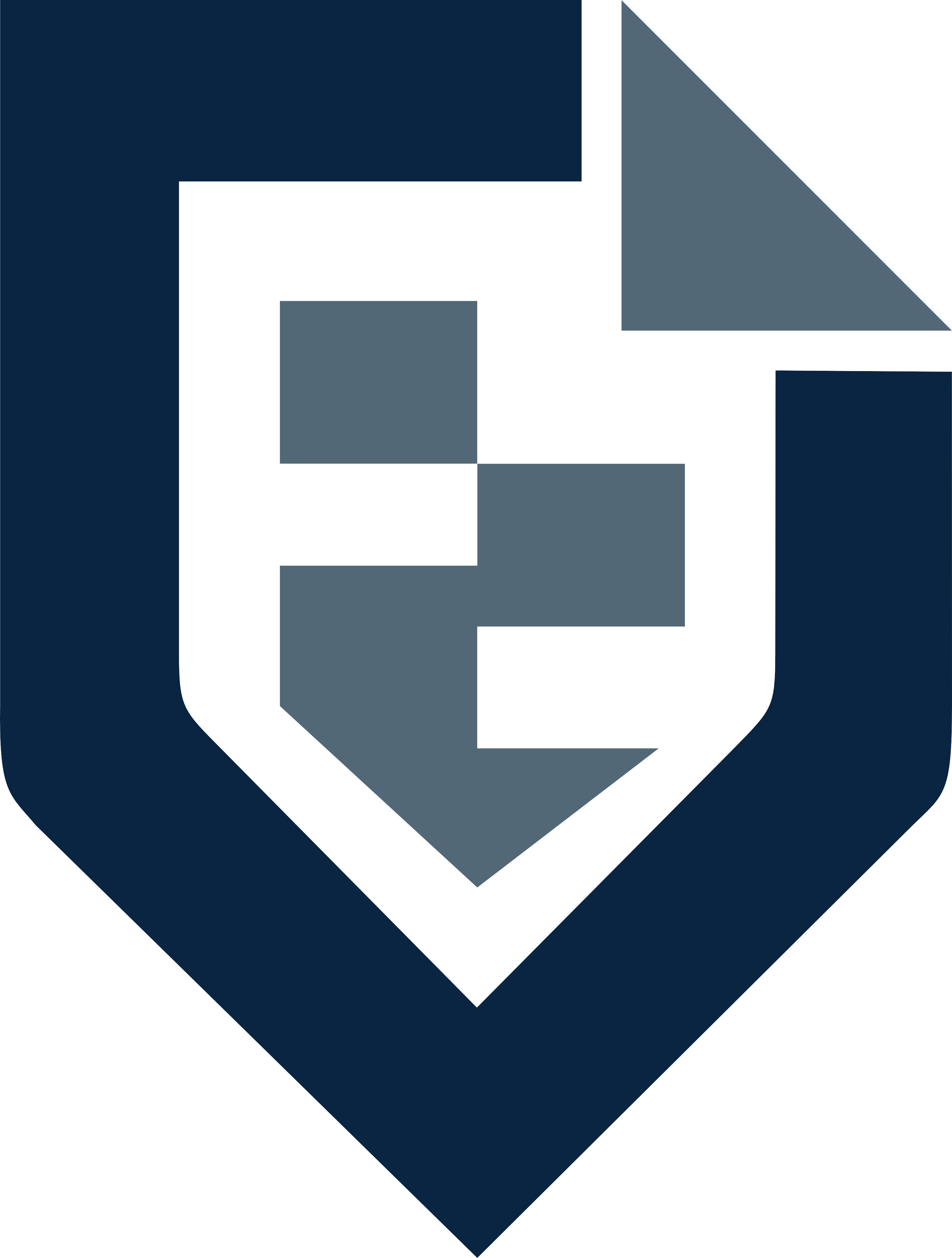DMS Secure Logo
